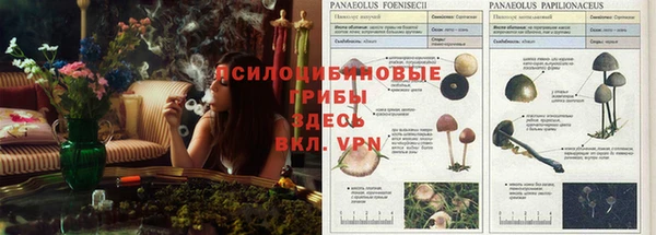 меф Абинск