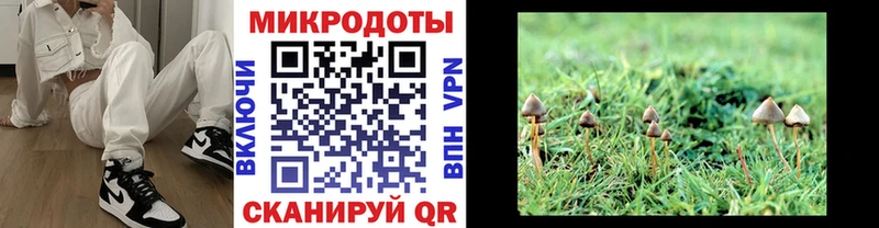 мориарти наркотические препараты  blacksprut ТОР  Кандалакша  Псилоцибиновые грибы Psilocybe 